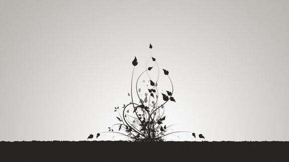 为什么科学