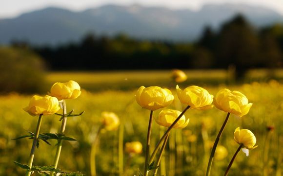 买苹果电脑在哪里买好