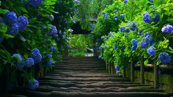 什么是模态节点