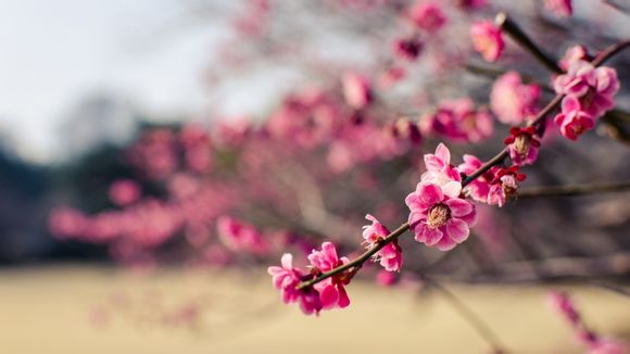 下载完游戏怎么解压