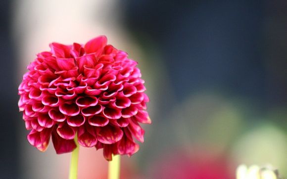 去印度投资什么办